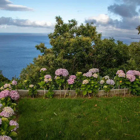 Apartament Oasis Fonte Grande Santo Antonio (Sao Miguel)