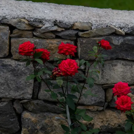 Apartament Oasis Fonte Grande